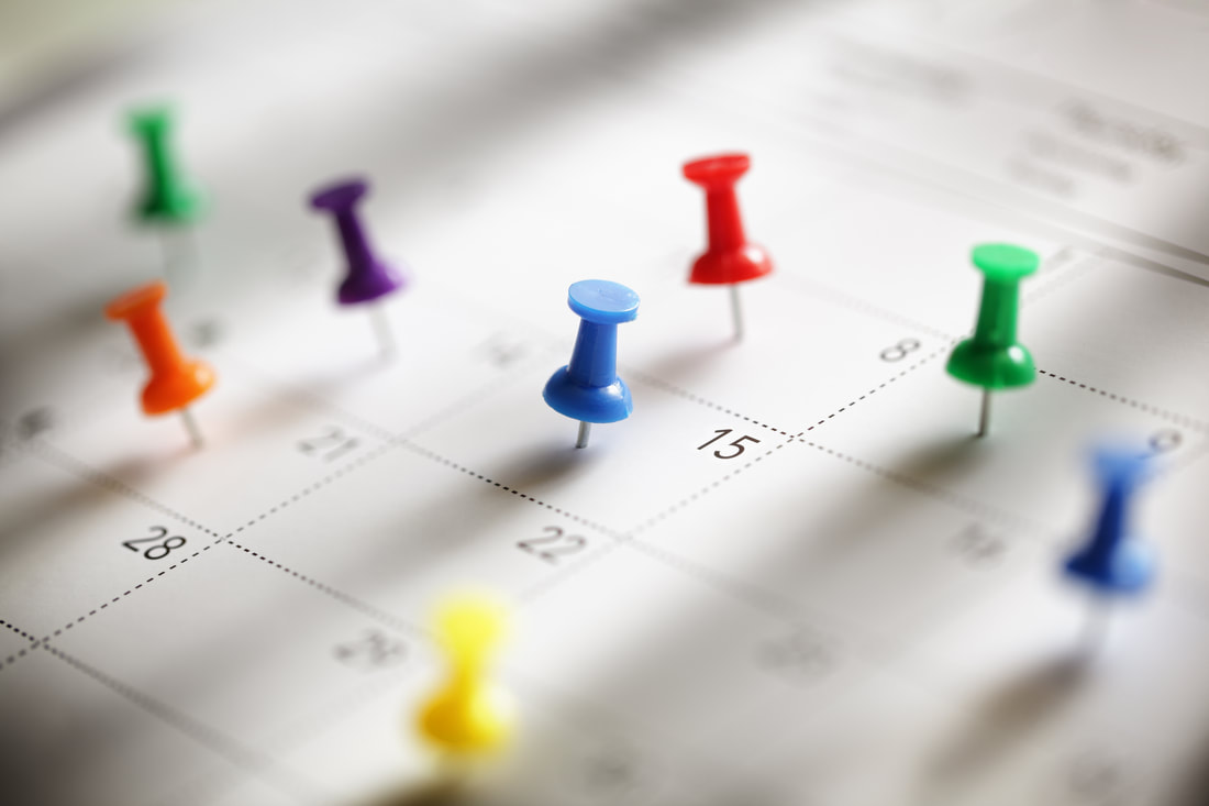Why Planning Your Social Media Is Like Planting a Tree