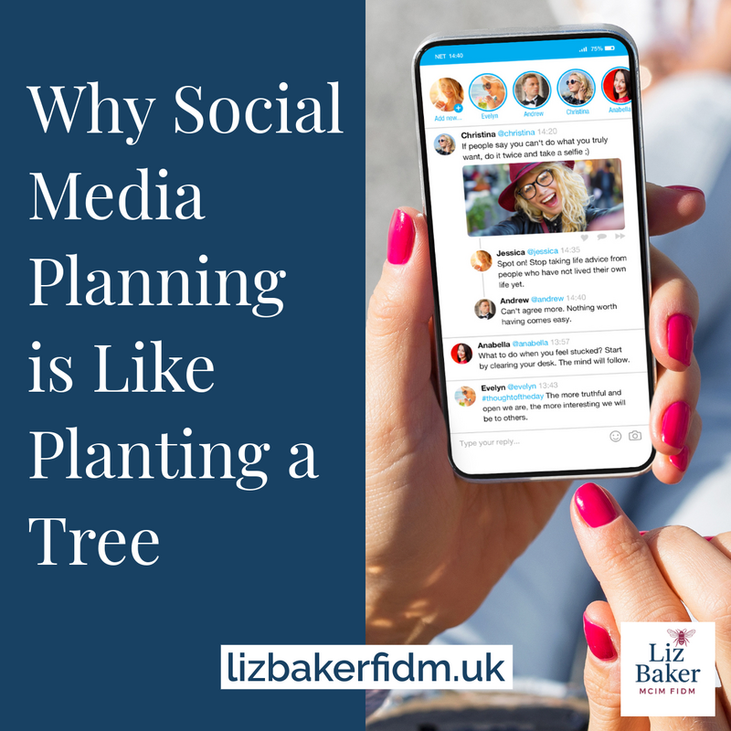 Why Planning Your Social Media Is Like Planting a Tree